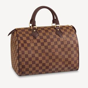 LOUIS VUITTON Speedy 30 Damier Ebene